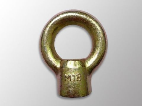 點(diǎn)擊查看詳細(xì)信息<br>標(biāo)題：Eye Nut 閱讀次數(shù)：1087