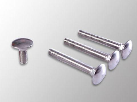 點擊查看詳細信息<br>標題：Carriage Bolt 閱讀次數：1326