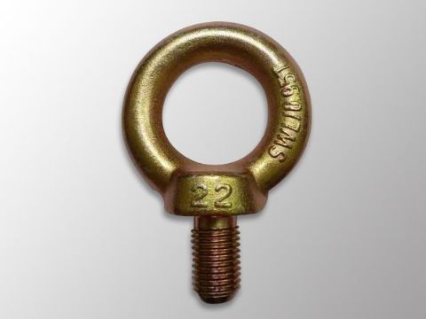 點擊查看詳細信息<br>標題：吊環(huán)螺栓DIN580 閱讀次數(shù)：1458